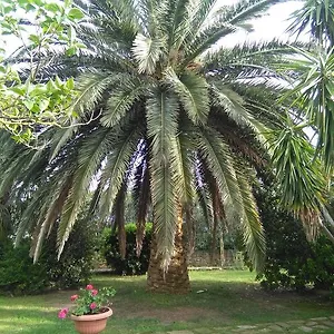 Alloggio per agriturismo La Palma